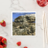 Mushroom Rock Serviette (Beispiel)