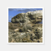 Mushroom Rock Serviette (Vorderseite)