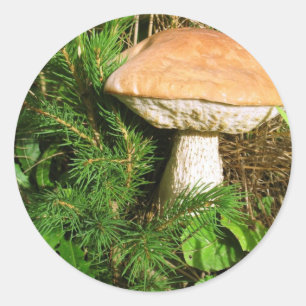 Mushroom Runder Aufkleber