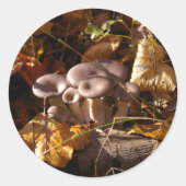 Mushroom Runder Aufkleber (Vorderseite)