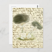 Mushroom-Sketch verblasste Text-boho-Kernmorelle Postkarte (Vorne/Hinten)