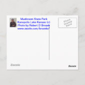 Mushroom Staat Park Kanopolis Lake POST CARD Postkarte (Rückseite)