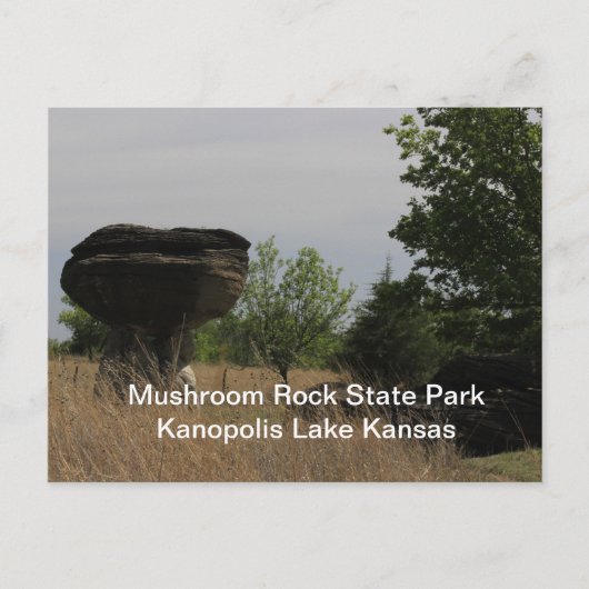 Mushroom Staat Park Kanopolis Lake POST CARD Postkarte (Vorderseite)