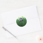 Mushroom Stickers (Umschlag)