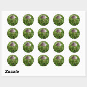 Mushroom Stickers (Blatt)