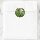 Mushroom Stickers (Tasche)