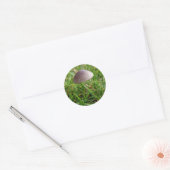 Mushroom Stickers (Umschlag)