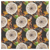 Mushroom Stoff (Muster)