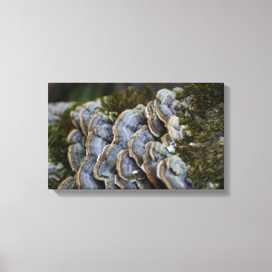 Mushroom Tree Foto Wrapped Canvas Leinwanddruck