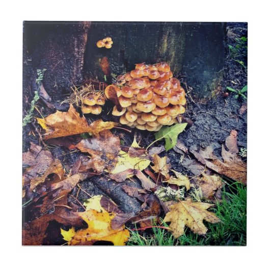 Mushroom Village Fliese (Vorderseite)