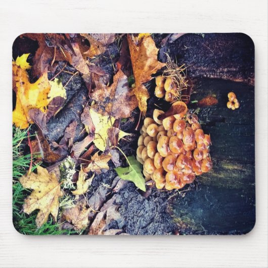 Mushroom Village Mousepad (Vorne)