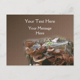 Mushroom Village Nature Postkarte