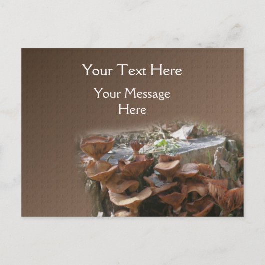 Mushroom Village Nature Postkarte (Vorderseite)