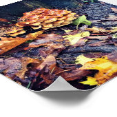 Mushroom Village Poster (Ecke)