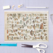 Mushroom Vintag French Fungi Decoupage Collage Seidenpapier (Handwerk)