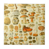 Mushroom Vintag Toadstool Antike Illustration Fliese (Vorderseite)