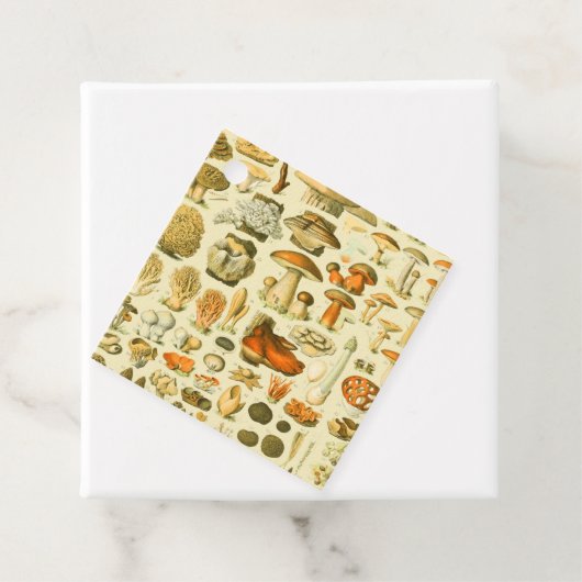 Mushroom Vintag Toadstool Antike Illustration Geschenkanhänger (Beispiel)