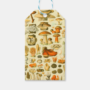 Mushroom Vintag Toadstool Antike Illustration Geschenkanhänger