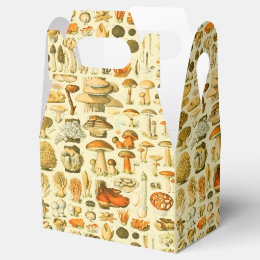 Mushroom Vintag Toadstool Antike Illustration Geschenkschachtel (Geöffnet)