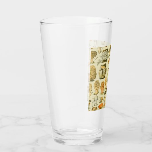 Mushroom Vintag Toadstool Antike Illustration Glas (Rechts)