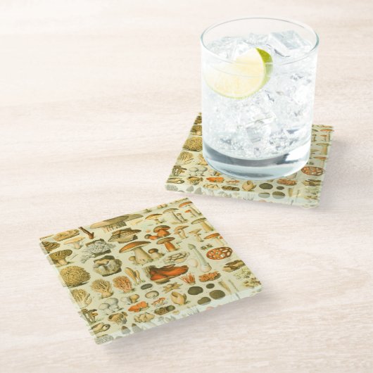 Mushroom Vintag Toadstool Antike Illustration Glasuntersetzer (Schrägansicht)