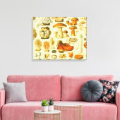 Mushroom Vintag Toadstool Antike Illustration Leinwanddruck (Insitu (Wohnzimmer))