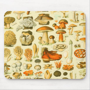 Mushroom Vintag Toadstool Antike Illustration Mousepad