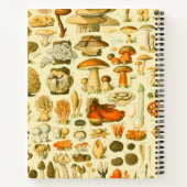 Mushroom Vintag Toadstool Antike Illustration Notizblock (Rückseite)