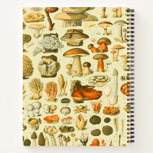 Mushroom Vintag Toadstool Antike Illustration Notizblock (Rückseite)