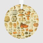 Mushroom Vintag Toadstool Antike Illustration Ornament (Rückseite)