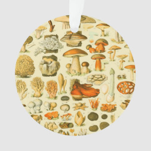 Mushroom Vintag Toadstool Antike Illustration Ornament