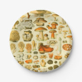 Mushroom Vintag Toadstool Antike Illustration Pappteller (Vorderseite)