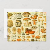 Mushroom Vintag Toadstool Antike Illustration Postkarte (Vorne/Hinten)