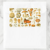 Mushroom Vintag Toadstool Antike Illustration Rechteckiger Aufkleber (Tasche)