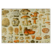 Mushroom Vintag Toadstool Antike Illustration Schneidebrett (Vorderseite)