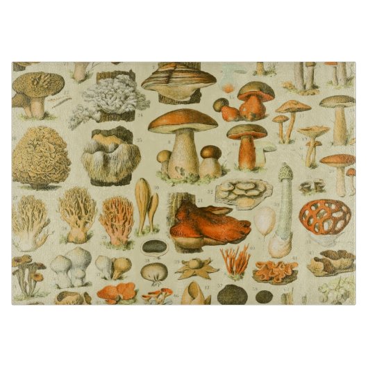 Mushroom Vintag Toadstool Antike Illustration Schneidebrett (Vorderseite)