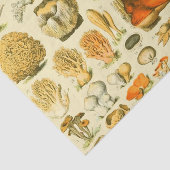 Mushroom Vintag Toadstool Antike Illustration Seidenpapier (Ausschnitt)