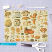 Mushroom Vintag Toadstool Antike Illustration Seidenpapier (Handwerk)