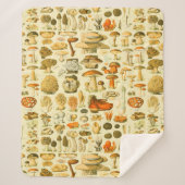 Mushroom Vintag Toadstool Antike Illustration Sherpadecke (Vorderseite)