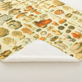 Mushroom Vintag Toadstool Antike Illustration Sherpadecke (3/4)