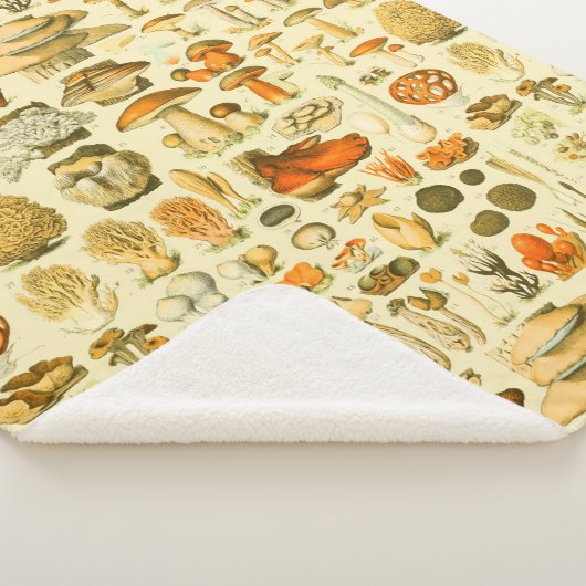 Mushroom Vintag Toadstool Antike Illustration Sherpadecke (3/4)