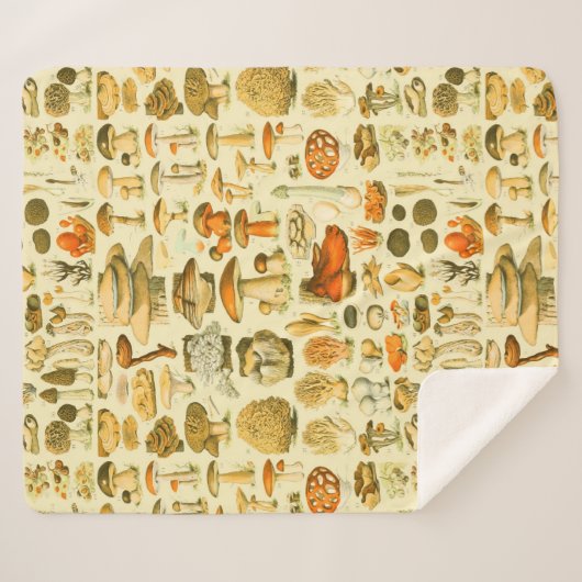 Mushroom Vintag Toadstool Antike Illustration Sherpadecke (Vorderseite (Horizontal))