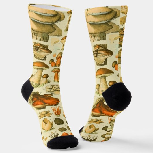 Mushroom Vintag Toadstool Antike Illustration Socken (Gewinkelt)
