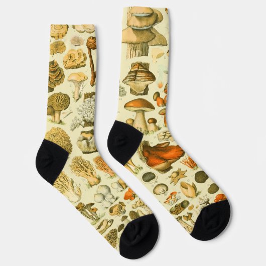 Mushroom Vintag Toadstool Antike Illustration Socken (Rechts)