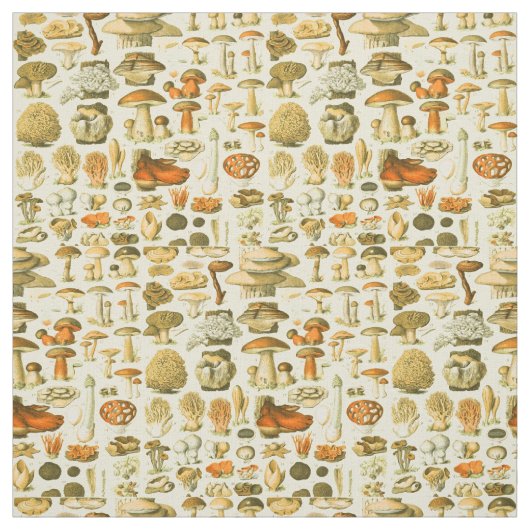 Mushroom Vintag Toadstool Antike Illustration Stoff (Muster)