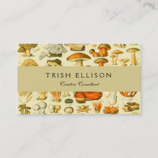 Mushroom Vintag Toadstool Antike Illustration Visitenkarte