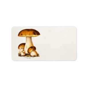 Mushroom-Vorlage für Vintage Pilzräume des 19. Jah Adressaufkleber