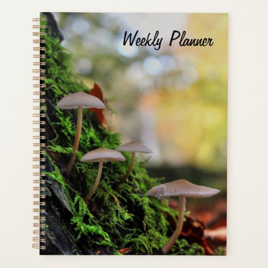 Mushroom Weekly Planner Planer (Vorderseite)