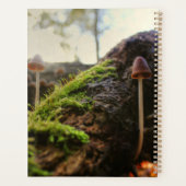 Mushroom Weekly Planner Planer (Rückseite)