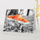 Mushrooms Adelaide Hills Gigantische Kunstkarte Karte (Gelbe Blume)